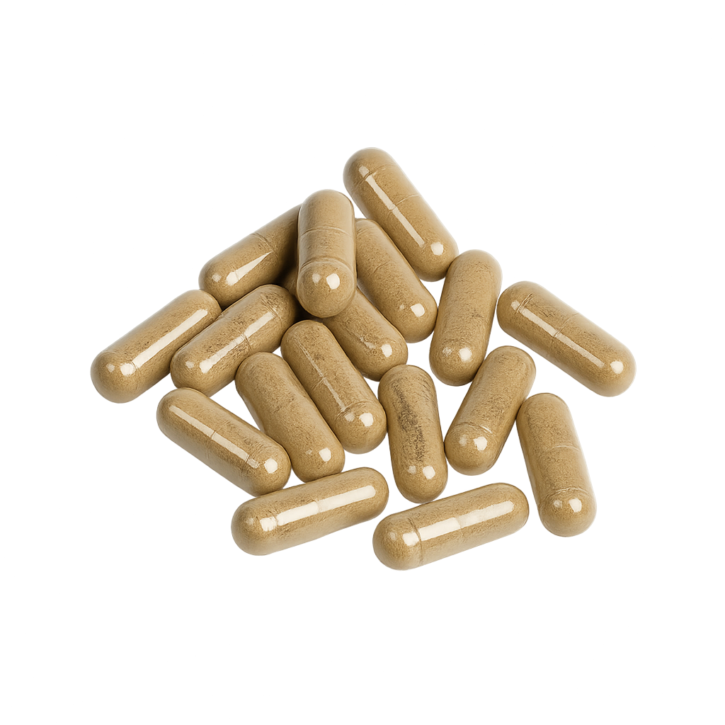 Close-up of Butea Superba capsules and their herbal content for natural libido support