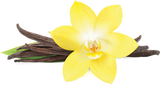 Vanilla